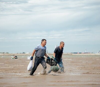 Ditch the Digital Dominoes: How Cloud Apps Make Teams Actually Work Together