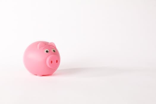 Beyond the Single Piggy Bank: Mastering How to Manage Multiple Bank Accounts