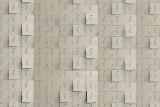 Your Digital Fortress: Beyond the ‘My Documents’ Folder Panic
