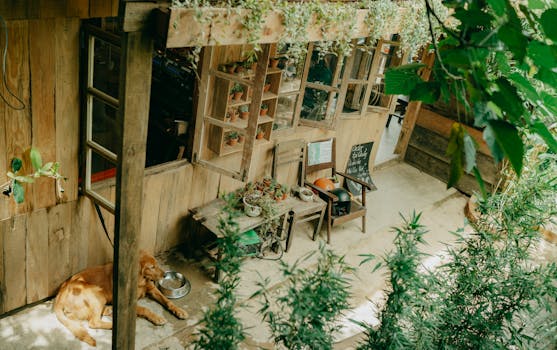 Beyond Beige: Sculpting an Engaging Patio Experience Without Breaking the Bank